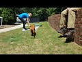 In-Home Puppy Enrichment and Socialization In-Home Puppy Enrichment and Socialization