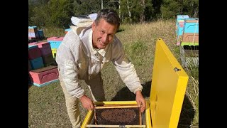 A short video of how to use the Varroa Controller