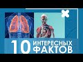 ТОП-10 ИНТЕРЕСНЫХ ФАКТОВ О ТЕЛЕ ЧЕЛОВЕКА(ЧАСТЬ 2)!-Гугол знаний