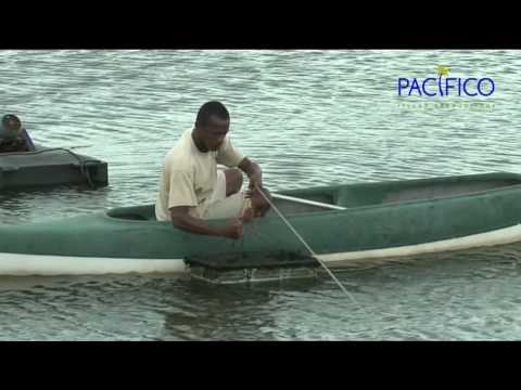Madagascar, Le Miracle De La Crevette