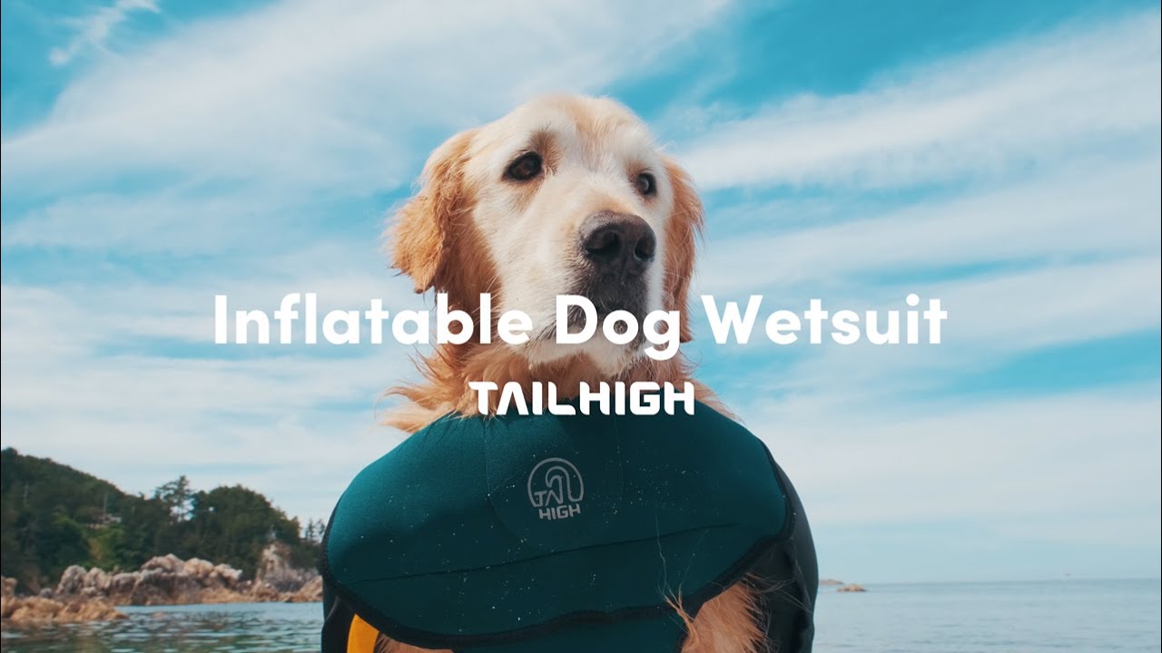 TAILHIGH Inflatable Dog Wetsuit - Firspurt Inc.