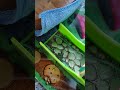 Wonderland Amusements Alice Pinball Ramp fixes