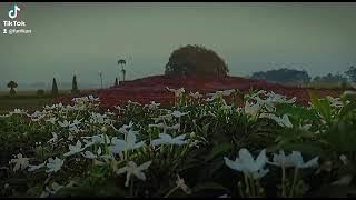 candi jiwa karawang pakisjaya.