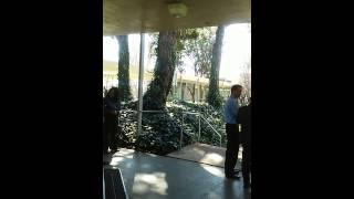 Seeing News Before Its News