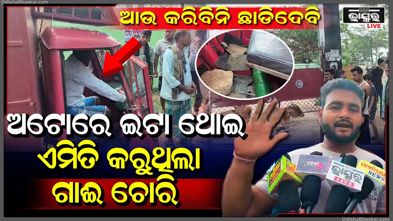 ଗାଡ଼ିରେ ମାଙ୍କଡ଼ା ପଥର ଲଦି ,ଏମିତି କରୁଥିଲେ ଗାଇଚାରି ଧରାପଡିଲା ପରେ ଏମିତି କିଛି ହେଲା