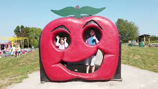 Apple picking at Eckert's in Belleville, IL