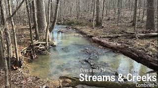 Land for sale in Oxford North Carolina (Granville County) - Oxford Timber Investment West