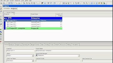 Primavera P6 Create reflection