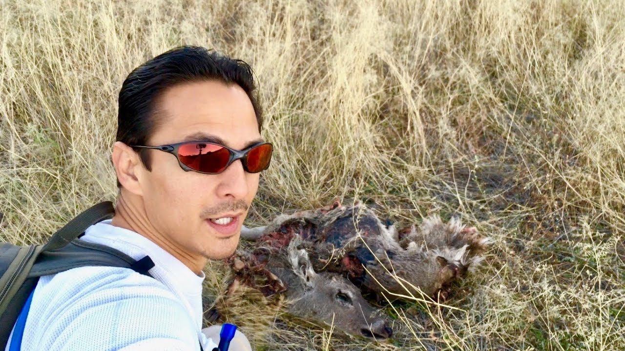 Black Bear Encounter