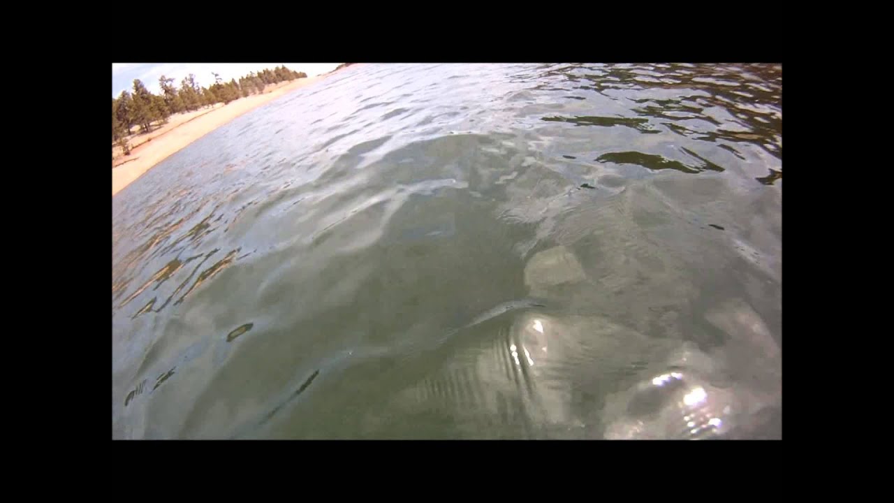 Big Laker Caught on North Catamount Reservoir YouTube