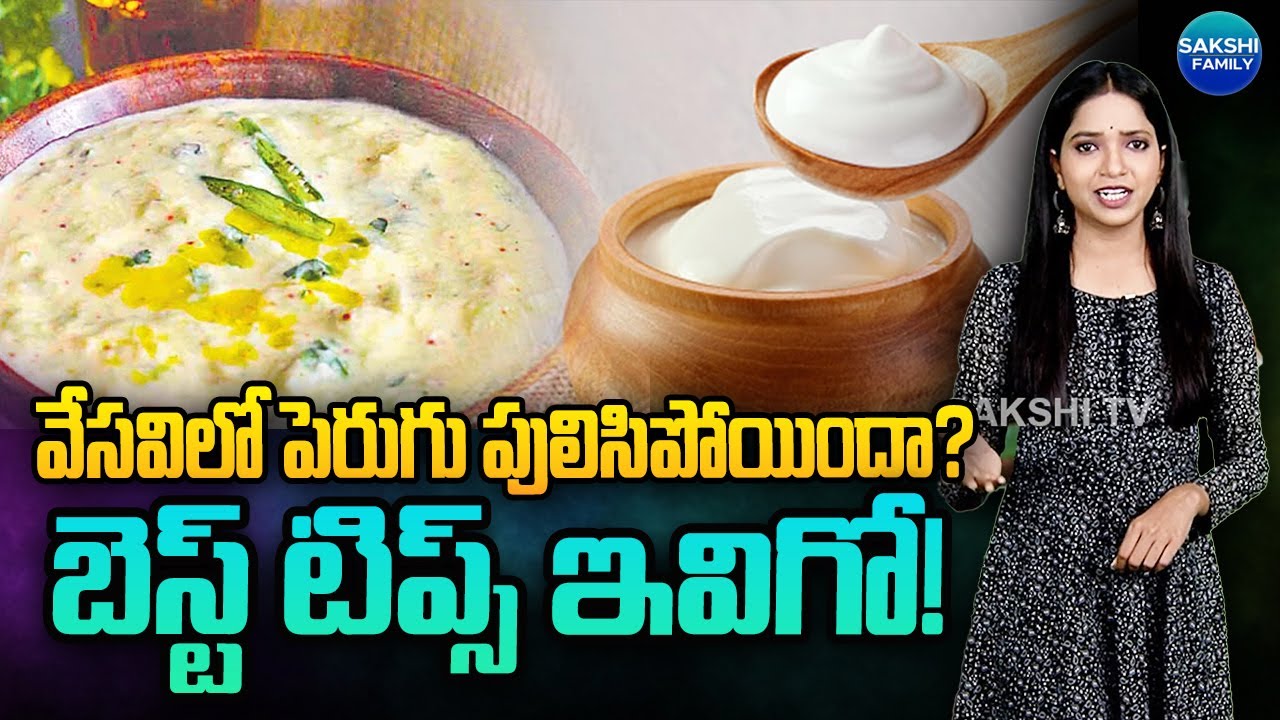 How To Prevent Souring Of Curd in Summer And Tips To Store it Right | 