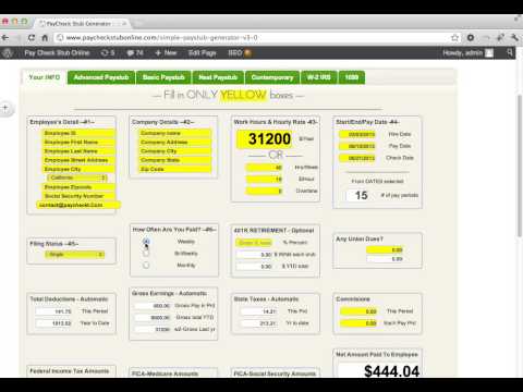 how to make free paystub preview