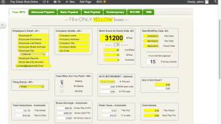 how to make free paystub preview