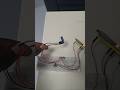Testing a wireless vibration based setup using esp32 and rasberry pi