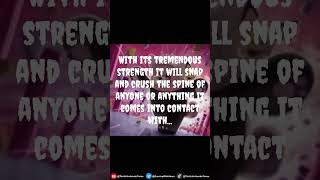 Do Not Hug This Cute Pokemon - The Pokemon Files -