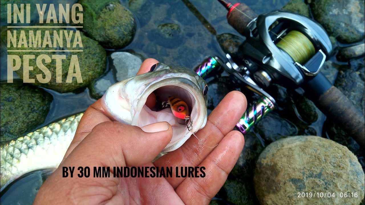 Pesta strike hampala bertubi", fishing with micro lures part #2.