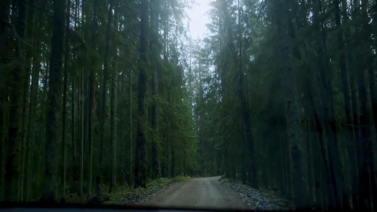 Driving on abandoned Forest Road [ASMR/scary]