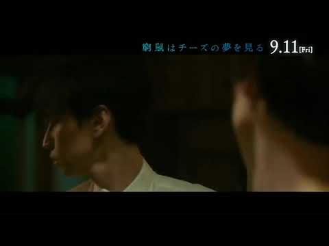 The Cornered Mouse Dreams of Cheese (2020) Japanese Movie Trailer Eng Sub (窮鼠はチーズの夢を見る　予告編　英語字幕)