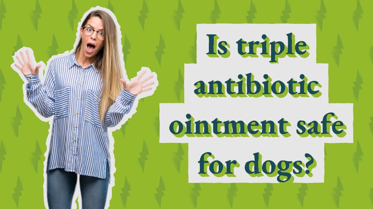 Is triple antibiotic ointment safe for dogs? YouTube