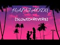 Hamjaodu  slowed reverb  dimasa new lofi song  lofi