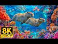 Rare Underwater Creatures in 8K HDR | Dolby Vision™