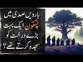 Pashtuns and a mysterious giant tree in 12th century  pashtuns before islam