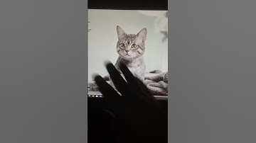 How to Create a Stripe Account in El Salvador (Guide 2025) | (PART 1 OF 4)