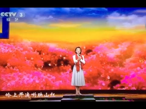 《中国民歌大会》丁晓君  映山红 20171002