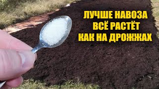 1 ложка заменит навоз и все удобрения в огороде! Почва станет очень плодородной и как пух!