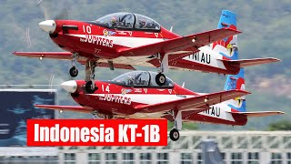 Kt-1B Wong Bee - Indonesian Air Force Receives Basic Trainer Aircraft