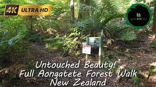 Walk through a Beautiful New Zealand Forest, Part 1, Aongatete Long Loop, #walking #forest #nature