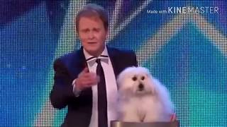 Best animal talking American got talent 2019