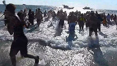 Revelers Brave Icy Water for New Year's Plunge