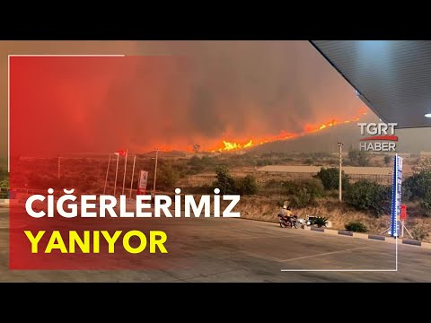 Ciğerlerimiz Yanıyor | Türkiye, Birçok Bölgede Orman Yangınlarıyla Mücadele Ediyor.