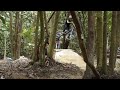 SINGAPORE KENT RIDGE TABLETOP Montage - #singapore #mtb #downhill #racing #jumps #gangsa