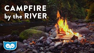 Campfire by the River  Relaxing Fire and Nature Sounds