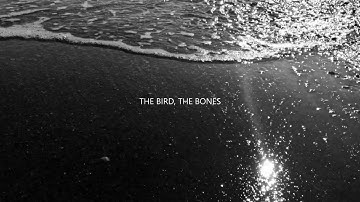 The Bird, The Bones - MOWUKIS (Official Video)