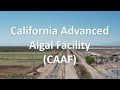 Virtual tour  intro to caaf