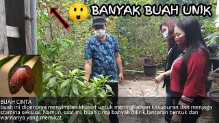 SEE THE UNIQUE AND MANY BENEFITS OF TABULAMPOT COLLECTION