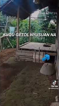 munhayang salaki loba duit sing getol nyusuan na