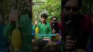#Retrospect ถึงกับวงแตก เมื่อ #เซียนหรั่ง พามาเก็บรังผึ้ง #เฮ็ดอย่างเซียนหรั่ง #shorts #shortsclip