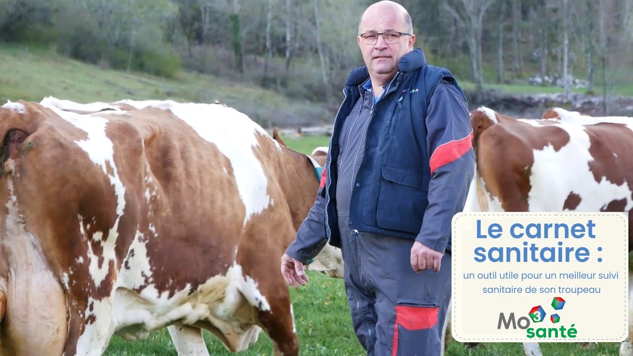Le sanitaire un outil utile pour un meilleur suivi sanitaire — free download