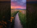 Peaceful views that calm the soul 🌄🍃 #nature #scenery #aesthetic