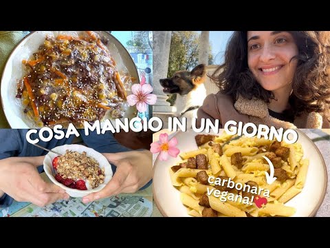 WHAT I EAT IN A DAY vegan and gluten free - SLOW VLOG