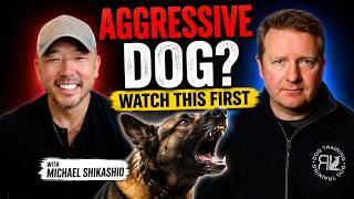 Reactive or Aggressive Dog? Watch This First | Michael Shikashio