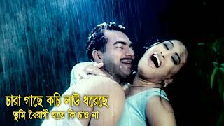 চারা গাছে কচি লাউ ধরেছে | Mehedi | Jhumka | Bangla Movie Song | Proti Hingshar Badur