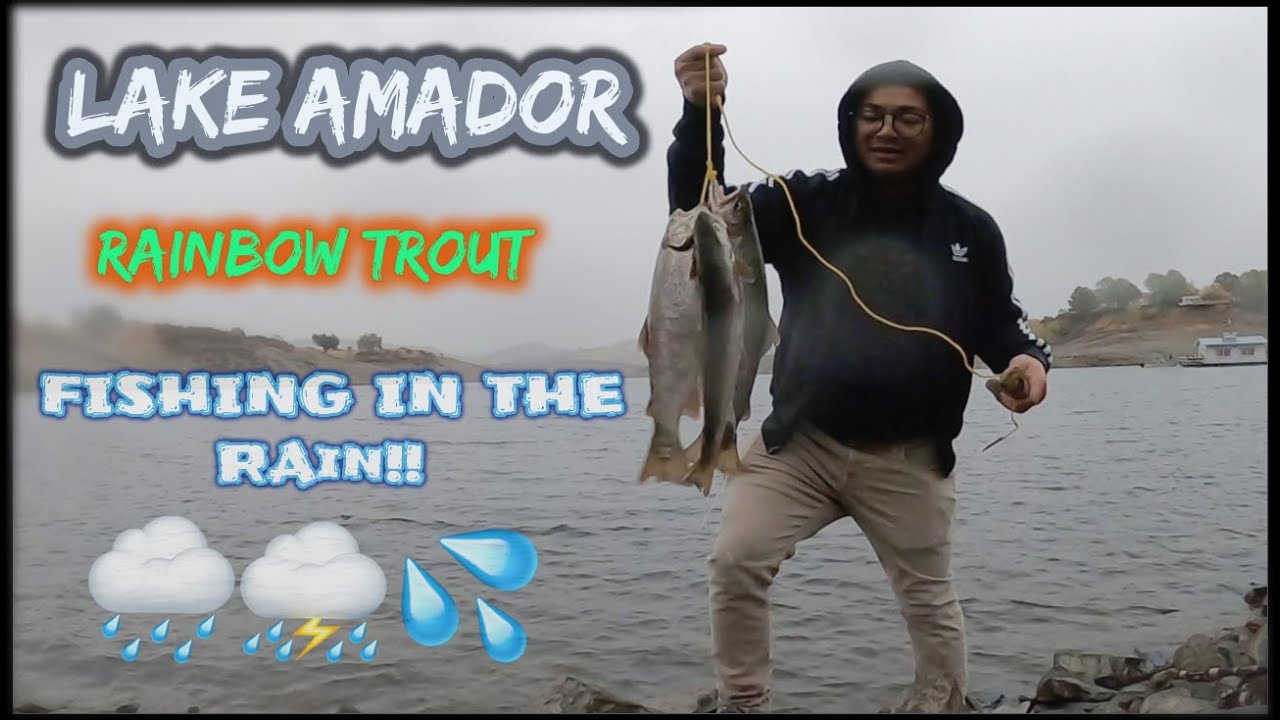 Fishing in the rain for Trout at Lake Amador YouTube