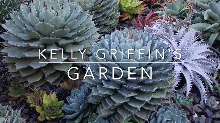 Kelly Griffin's Garden (Part 1)