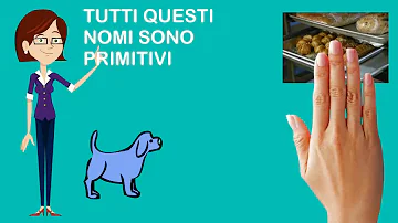 Qual è il nome primitivo di ortaggio?