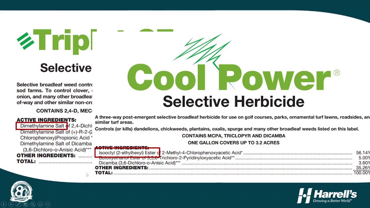 15-Minute Friday Live Stream